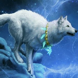 Meet your Posher, Naomi